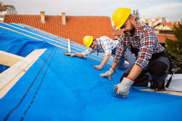 Best Roof Gutter Cleaning  in Howards Grove, WI